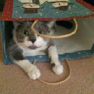 Meet your Posher, Jackie